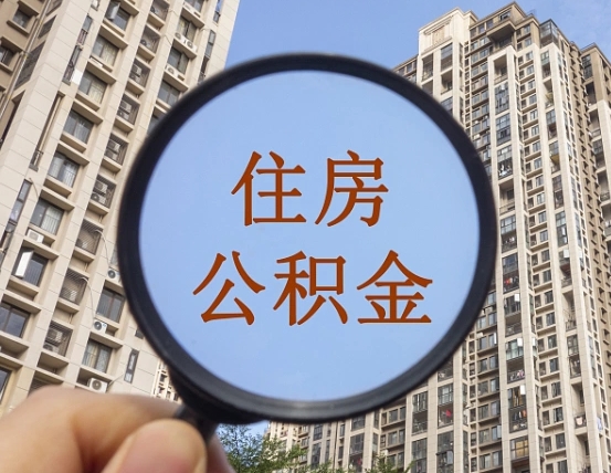 大连退休后查不到公积金明细了吗（退休后公积金查询不到原因）